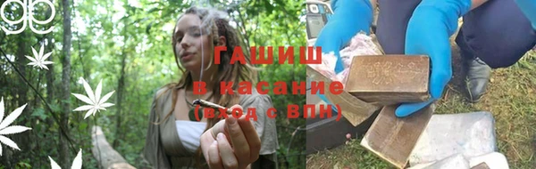 шишки Богородицк